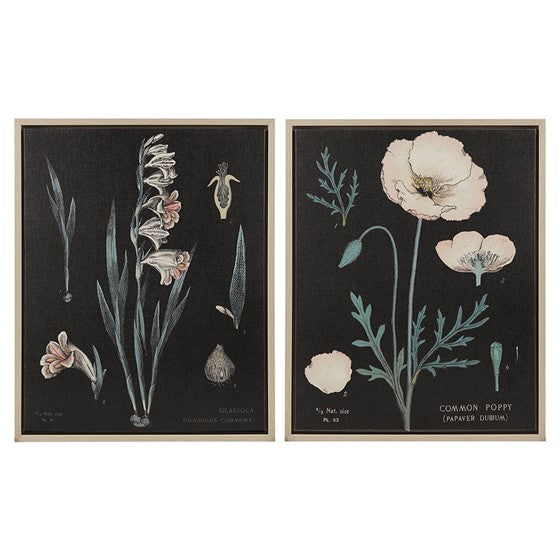 Botanical discount Framed Canvas