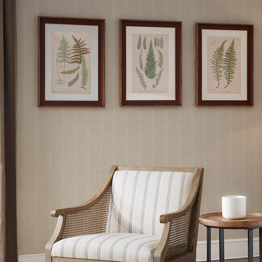 Olliix.com Wall Art - Lady Transitional Fern Collection Single Mat Framed Graphic 3 Piece Set 18.75x24.75x1.18" (3) Green