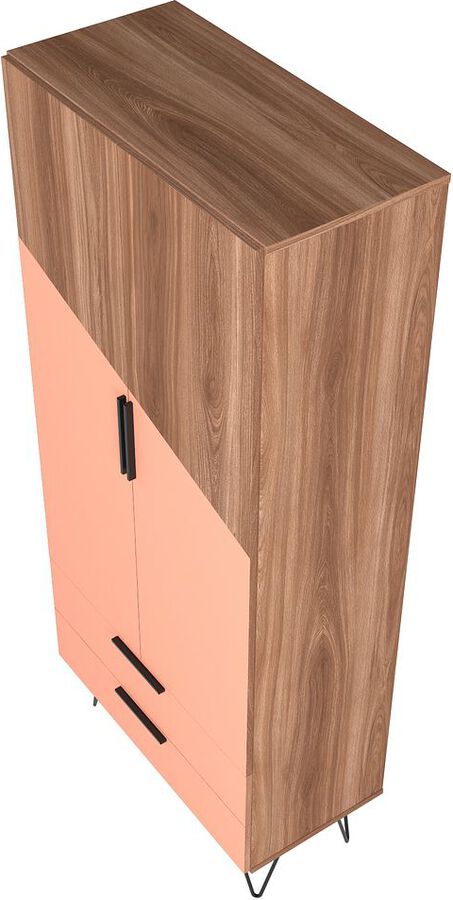 Buy Beekman 67.32 Tall Cabinet in Brown and Pink